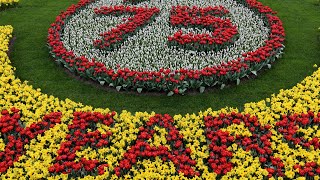 Keukenhof 2024  The first Opening Day March 21  4K [upl. by Alecram490]