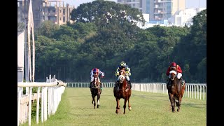 GLOBAL INFLUENCE wins The HPSL Calcutta Colts Trial Stakes [upl. by Ellata632]