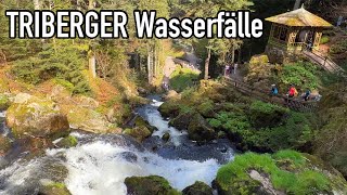 Germany 🇩🇪  Een Tag in unser schönster Urlaub in Triberg Triberger Wasserfälle [upl. by Adnarym457]