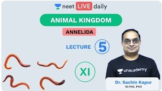 Animal Kingdom  L 5  Annelida  Class 11  Unacademy NEET  NEET Biology  Sachin Sir [upl. by Eelsnia]