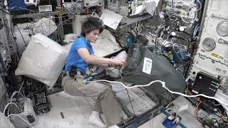 SAMANTHA CRISTOFORETTI MINERVA MISSION BROLLS  JUNE 2022  CREW4 WORKING ON STOWAGE IN COLUMBUS [upl. by Gisele]