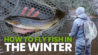 How To Fly Fish In The Winter Everything You Need To Know [upl. by Orual]