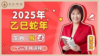 麦玲玲师傅详解2025蛇年运程：生肖猴！事业运、财运、人际关系、爱情、婚姻、健康全解析！ [upl. by Birch]