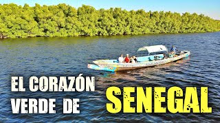 ¿Por qué SENEGAL es el destino perfecto para tus próximas vacaciones E26 AFRICA EN MOTO [upl. by Berkow]