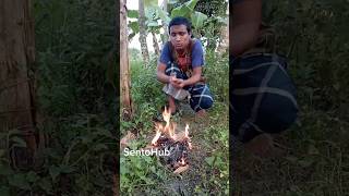 Bushcrafter and Survival skills  with the cotton of the cigarette  outdoors survival sentohub [upl. by Attiuqaj]