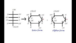 Learn to write Pyranose Furanose form using Haworth Formulae [upl. by Crystal565]