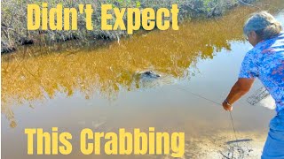 You Wouldnt Believe What Was On Our Crabbing Handline [upl. by Tracee]