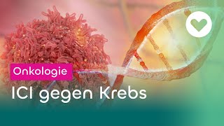 Bestimmte Krebsarten durch das eigene Immunsystem bekämpfen [upl. by Nudd]