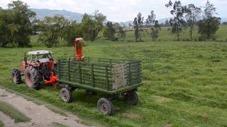 COSECHADORA DE FORRAJES  FIMAKS  RF132  Instalación Gachanzipa🇨🇴  Maquinaria Agrícola [upl. by Ecirrehs]