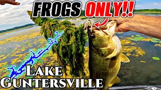 Fishing ONLY Topwater Frogs for a Day [upl. by Rawdon559]