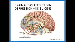 The Neurobiology of Pain Processing and Suicide A Potential Marker for Suicide Risk [upl. by Schell]