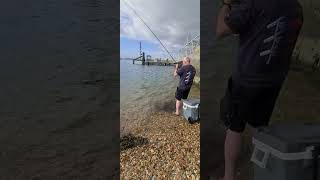 Hayling island fishing sea bass [upl. by Eliott848]