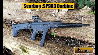 Stribog SP9A3 G 9mm Carbine Review [upl. by Ahsanat]