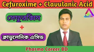 Cefuroxime  Clavulanic Acid Bangla  Cefaclav  Furoclav  Clavucef  Clavulanic Acid Bangla [upl. by Golda881]