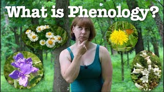 What is phenology [upl. by Hammer]