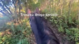 Vlog z grzbietu konia 1 [upl. by Silsby908]