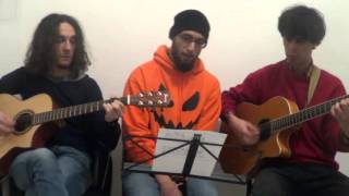 Menhir  Das Hildebrandslied  Teil I Acoustic cover [upl. by Auqcinahs]