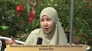 AWANI  Terengganu Bermula 30 spesis kini laman Zety Roses milik 300 spesis bunga ros [upl. by Zilber]