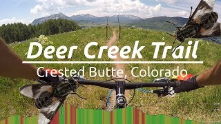 Flies and Wildflowers  Mountain Biking Deer Creek Trail Crested Butte 2017 [upl. by Naman]