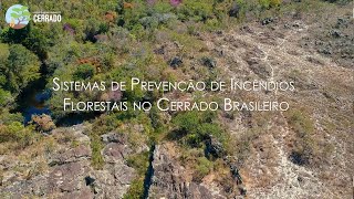 Sistemas de Prevenção de Incêndios Florestais e Monitoramento da Cobertura Vegetal no Cerrado [upl. by Ymor165]