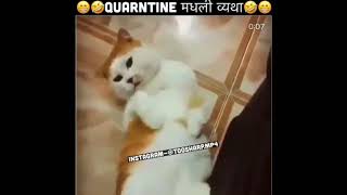 NEW TOOSHARPDUBS comedy video  parody TOOSHARP DUDE  18 MARATHI COMEDY  ANIMAL COMEDY [upl. by Leraj113]