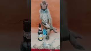 Mughe pine ka Sauk nhimonkeyvideo shorts ytshorts youtubeshorts viralvideo [upl. by Asserat]