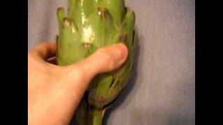 How to prepare cook and eat an artichoke and a review recipe [upl. by Anetsirk359]