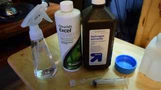 Green hairBeard algae treatment 2 [upl. by Meletius]