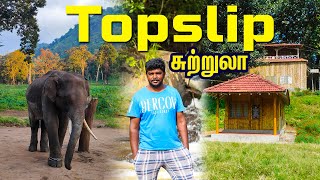 Topslip Tourism I wildlife tourism I டாப்சிலிப் சுற்றுலா I Village Database [upl. by Snebur632]