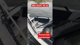 Компоновка ТОП wellboat 45 Удачный конфиг Рыбалка и отдых shorts boat обзоркатера [upl. by Havener]