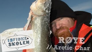 Slik fisker du røye på isen  How to fish arctic char  Isfiskeskolen Ep1 [upl. by Honig]