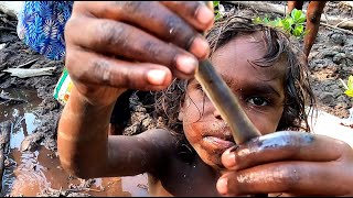 Collecting mangrove worms [upl. by Liew]