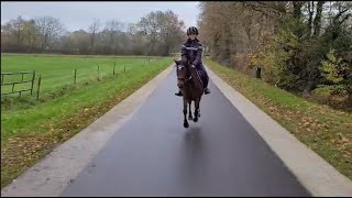 dagvlogje en op buitenrit en vrijspringen [upl. by Gassman]