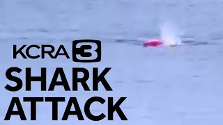 Great White Shark Attacks Kayaker in Monterey Bay California [upl. by Nanreik]