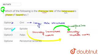 Which of the following is the characteristic of the heteronereis phase of Neanthes   12  ANI [upl. by Orazio234]