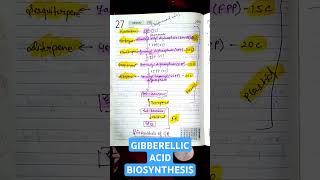 Gibberellic Acid Biosynthesis from Isoprenoid• CSIR life sciences• Gibberellin• csirnet GA botany [upl. by Anifares459]