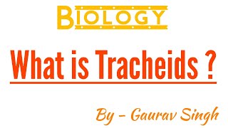 What is Tracheids   By  Gaurav Singh [upl. by Avirt34]