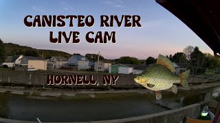 Canisteo River Live Cam 247  Hornell New York  10122024 [upl. by Ehrsam]