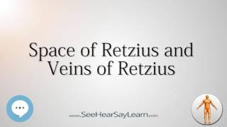 Space of Retzius and Veins of Retzius Anatomy Named After People 🔊 [upl. by Hakaber]