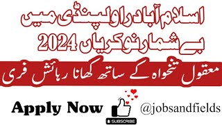 Rawalpindi Islamabad New Jobs 2024  New Private Jobs in Rawalpindi Islamabad  JOBSANDFIELDS [upl. by Etteraj]