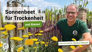 Ein Sonnenbeet für Insekten – Pflanzen für sonnige amp trockene Standorte  gardify Tipps [upl. by Meeka]