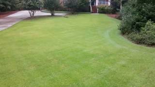 Zoysia lawn maintenance w Tommy C Tommys Landsc [upl. by Nobile]