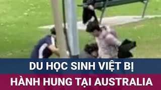 Một du học sinh Việt Nam bị hành hung tại Australia hiện đang trong tình trạng hoảng loạn  VTC Now [upl. by Sallad]