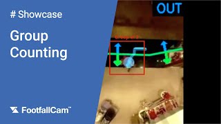 Group Counting  FootfallCam [upl. by Florri]