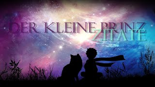 Der kleine Prinz  Zitate zum Nachdenken [upl. by Iaoh788]