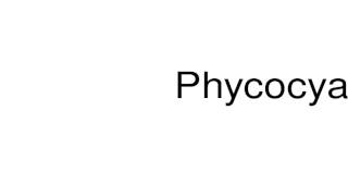 How to pronounce Phycocyanin [upl. by Noivaz]