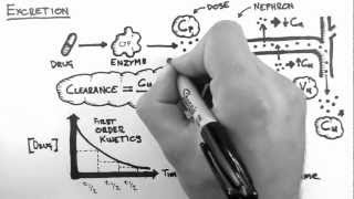 Pharmacokinetics 5  Excretion [upl. by Ellemrac]