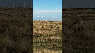 wind turbines off the shore of great yarmouth 201124 waves sea beach nature greatyarmouth [upl. by Balas297]