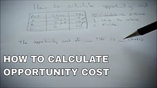 How to calculate opportunity costs [upl. by Doig505]