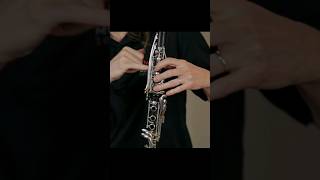 An exercise for the left hand while playing the clarinet clarinet bassclarinet [upl. by Javler]